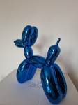 Blauwe ballon hond