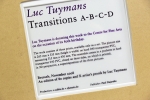 Luc Tuymans - Transitions