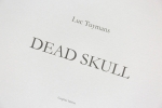 Luc Tuymans - Dead Skull