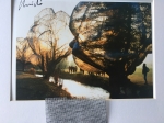 Christo Javacheff - Wrapped Trees- inclusief origineel stukje stof!