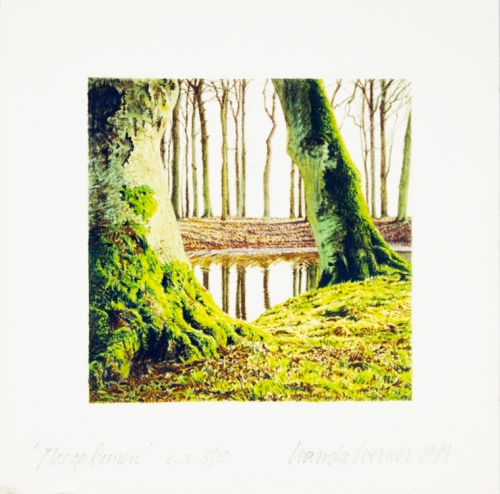 Wanda Werner - Mousse sur les arbres