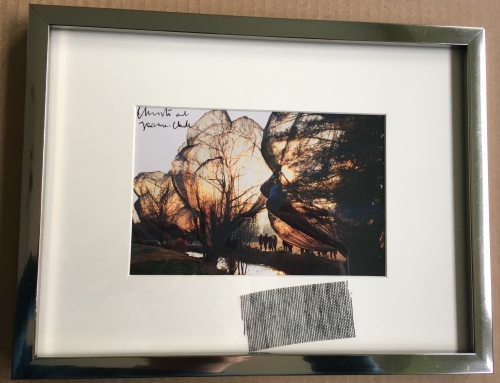 Christo Javacheff - Wrapped Trees- inclusief origineel stukje stof!