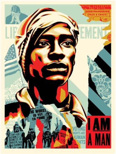 Shepard Fairey - Voting Rights are Human Rights