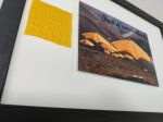 Christo Javacheff - Yellow umbrella's - avec tissu original