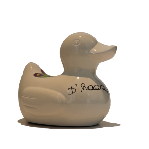 Hannes D'Haese - White duck from the sunny day in Paradise at Middelkerke